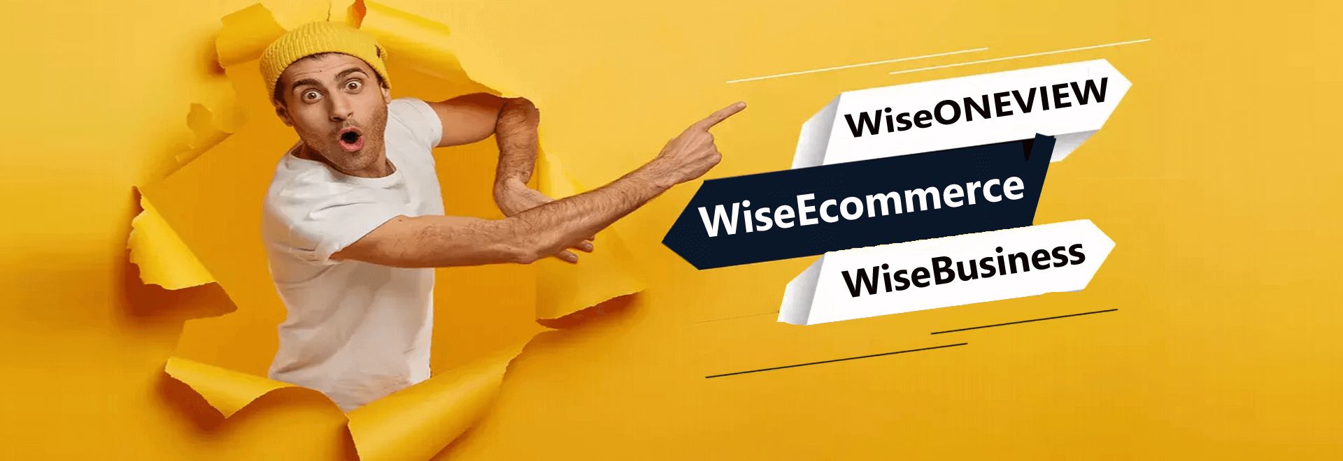 Wise software solutions career